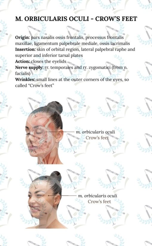 Botulinum Toxin In Aesthetic Medicine - Pocket Guide - Numerous "cheatsheets" and tips & tricks for quick orientation and safe BTX injections