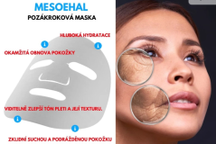 MESOHEAL MASK 1x20g – „FAMOUS AND AMAZING”maska za trenutno smirivanje i obnovu kože nakon mezoterapije!
